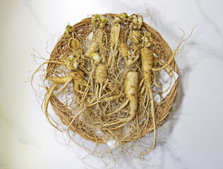 Poster - Close up and top angle view of trimmed raw ginseng roots on kitchen towel and bamboo basket, South Korea
