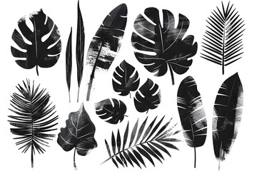 Hand drawn set of grunge modern textured brush black leaves isolated on white background