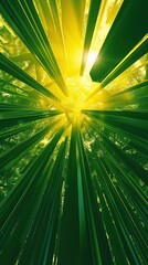 Poster - Radiant Green Bamboo Forest with Sunlight Beams