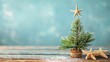 © Vodkaz - A small Christmas tree decorated with a starfish topper and surrounded by seashells, blending holiday cheer with a coastal theme