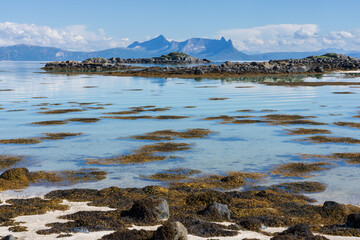 Wall Mural - View from Offersøy in Vestbygd, Lødingen, Lofoten, Norway