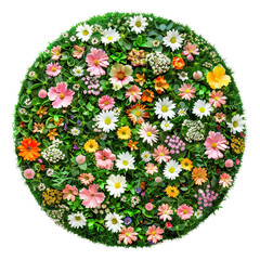 Wall Mural - Round colorful flower wall panel, cut out