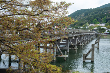 Wooden old Uji Bridge over river. Kyoto Japan.