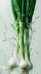 Wall Mural - Vegetable poster, A few scallions, onion, Water splashing, Solid color background