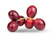 © supamas - red raw date palm isolated on transparent png