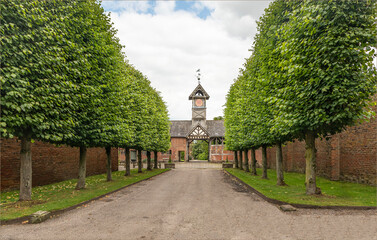 Looking down a roadway with trees either side