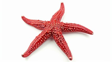 Red starfish with detailed texture and five arms, perfect for marine-themed decorations, isolated on a white background. Marine life isolated on white. Photo realistic photo.