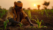 © Jammer Gene - Farmer tending and checking young corn plants on a field.