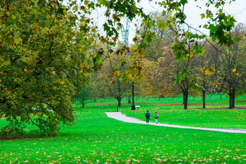 London, UK - Trees in a park in autumn