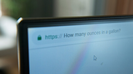 Close-up shot of a computer monitor displaying a web browser with search query 