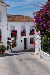 Wall Mural - Unique white painted village of Mijas (not far from Malaga) - Spanish hill town overlooking the Costa del Sol. Wonderful decoration of the houses in Mijas. Mijas, Andalusia, Spain.