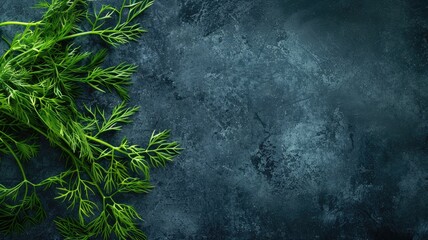 Wall Mural - Fresh green dill on dark textured surface