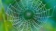 © JuliaDorian - Delicate and Intricate Spiderweb Adorned with Tiny Dewdrops Glistening in the Morning