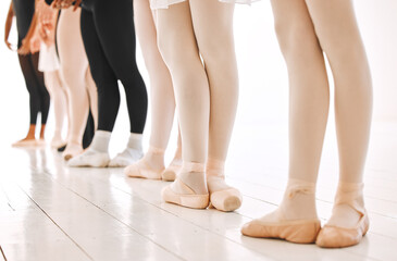 Wall Mural - People, ballet and group of legs in studio for performance art, balance and learning of routine. Dance school, class and feet with practice on floor in recital for flexibility, elegance and talent