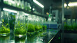 © Mahemud - Science and technology research focused on green alga biofuel in a laboratory, emphasizing biotechnology industry practices. This includes experiments with alternative natural sources