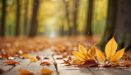 Canvas Print - Golden Autumn Leaves on Wooden Path.