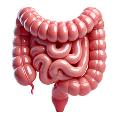 detailed glossy 3d human intestines