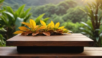 Canvas Print - Wooden Tabletop with Plants and Blurred Nature Background.