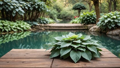 Canvas Print - Green Leaves on a Wooden Deck by a Pond.