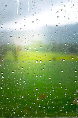 Wall Mural - spring background with rain drops on the window. natural texture concept