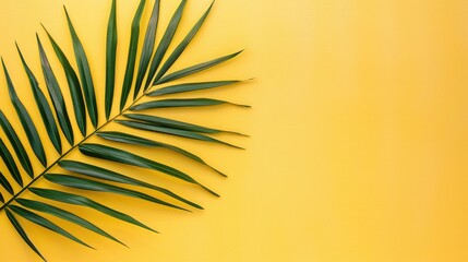 Wall Mural - Minimal fashion concept with tropical palm leaf on yellow backdrop