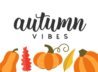 Wall Mural - Autumn Vibes Phrase Decorated with Pumpkin Border. Vector Handwritten Phrase with Fall Leaves.