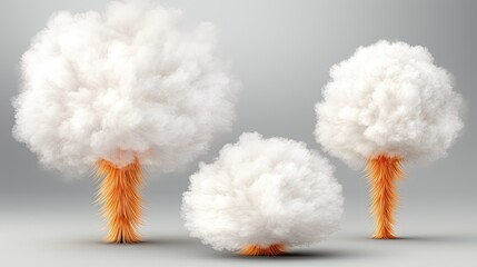 Wall Mural - a series of clouds with the words fluffy on them