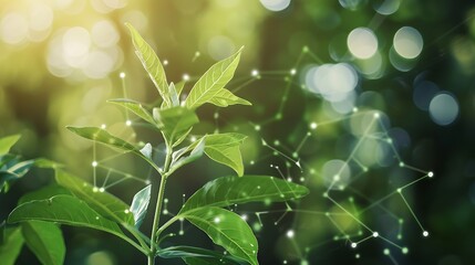 Wall Mural - natural green plants with digital connection network conceptual for sustainable natural ecosystem in
