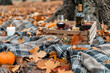 © Michael - Cozy Autumn Picnic Scene: Inviting Imagery For Outdoor Gear Marketing And Lifestyle Blog Content