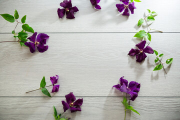 Poster - branch of blooming purple clematis, on a light wooden table