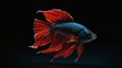 © M.Taufiq - photo of red and blue betta fish on black background made by AI generative