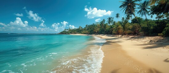 Wall Mural - Tropical Paradise: Tranquil Beach with Palm Trees