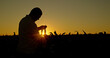 © StockMediaSeller - Silhouette of a farmer studying corn sprouts at sunset.