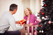 © STEEX/peopleimages.com - Mature, happy couple and christmas tree with gift for surprise, offer or festive celebration at home. Senior man and woman with smile for present, ribbon box or December holiday together at house