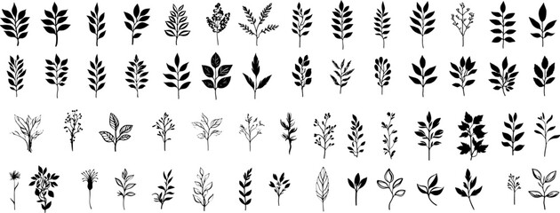 Poster - a set of minimalist leaflets. Black and white plants.