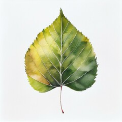 Wall Mural - beautiful colorful fall autumn watercolor leaf