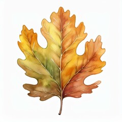 Wall Mural - isolated fall autumn oak tree leaf watercolor painting