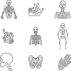 Wall Mural - skeleton icon collection 