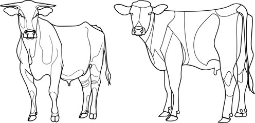 One line continuous drawing of a cow. Bull symbol. Farm animal illustration made using one line continuous drawings.