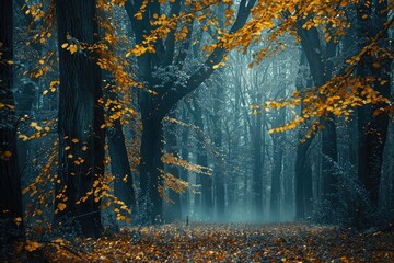 Wall Mural - A forest with trees and leaves on the ground. The leaves are orange and yellow. The sky is dark and the trees are tall