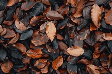 Wall Mural - tropical fallen dry brown leaves in the wood - generative ai