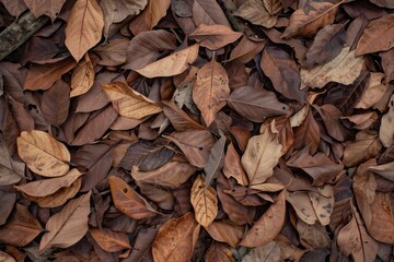 Wall Mural - tropical fallen dry brown leaves in the wood - generative ai