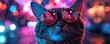 © pisan - Cool Cat in Sunglasses Celebrating with Style and Festive Lights, A Fun Photo of a Cat Wearing Trendy Shades in a Festive Setting