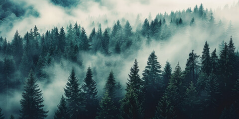 Misty landscape with fir forest in vintage retro style