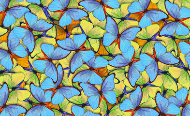 Aufkleber - Abstract pattern of bright colorful tropical morpho butterflies. Exotic butterfly ornament