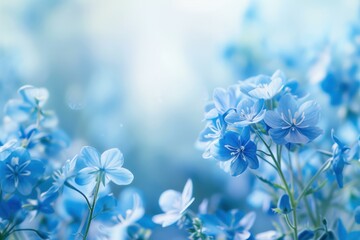 Wall Mural - Delicate blue flowers bloom against a soft, dreamy background with a tranquil glow