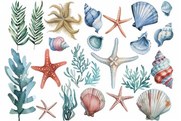 watercolor marine elements