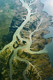 Aerial View of a Sprawling Delta River with its Branching Tributaries Meandering through a Lush Green Landscape