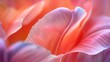 © Vangly - Detailed shot of a tulip petal, showing the fine details and vibrant color
