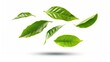 © lililia - A white background with green tea leaves floating and swirling in the air